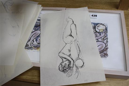 Peter Collins, twelve pen and ink on paper, Studies of female nudes, largest 35 x 25cm, unframed
